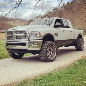 Meet your Posher, Liam